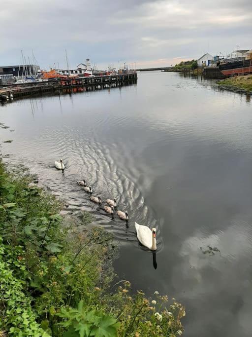 Stunning Riverside Town House With Views Ayrshire เกอร์แวน ภายนอก รูปภาพ